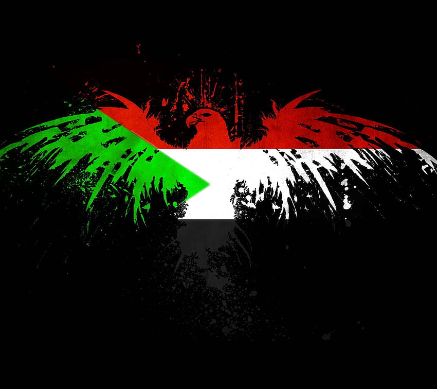 Sudan, Südsudan-Flagge HD-Hintergrundbild