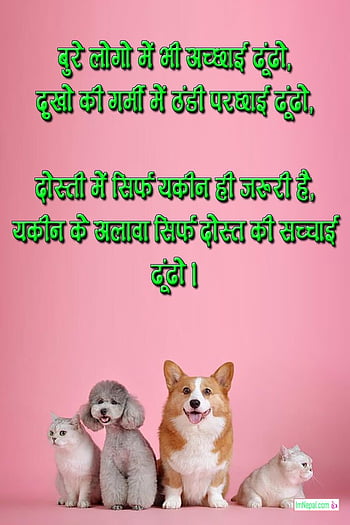 Top 10 Friendship Day Shayari in Hindi with DP Images - फ्रेंडशिप डे शायरी