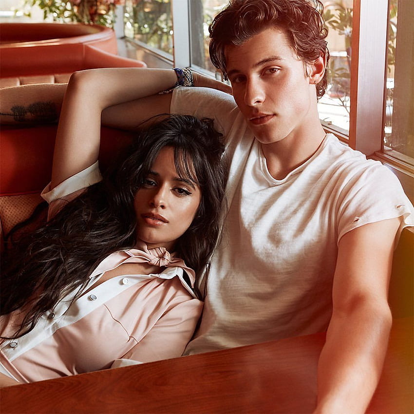 about camila cabello. See more about camila cabello, shawn mendes and fifth harmony, Shawmila HD phone wallpaper