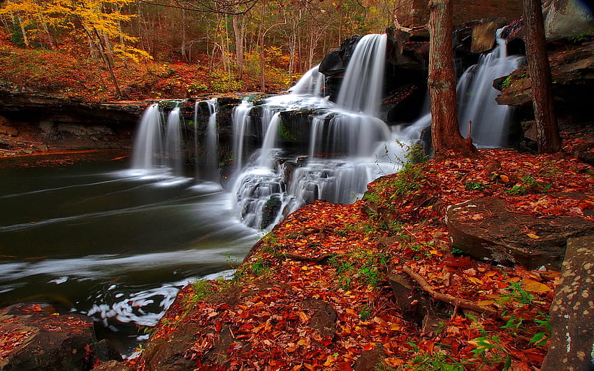 Cascate autunnali, torrente, caduta, bella, foglie, cascata, cascate, autunno, foresta, fogliame, ruscello Sfondo HD