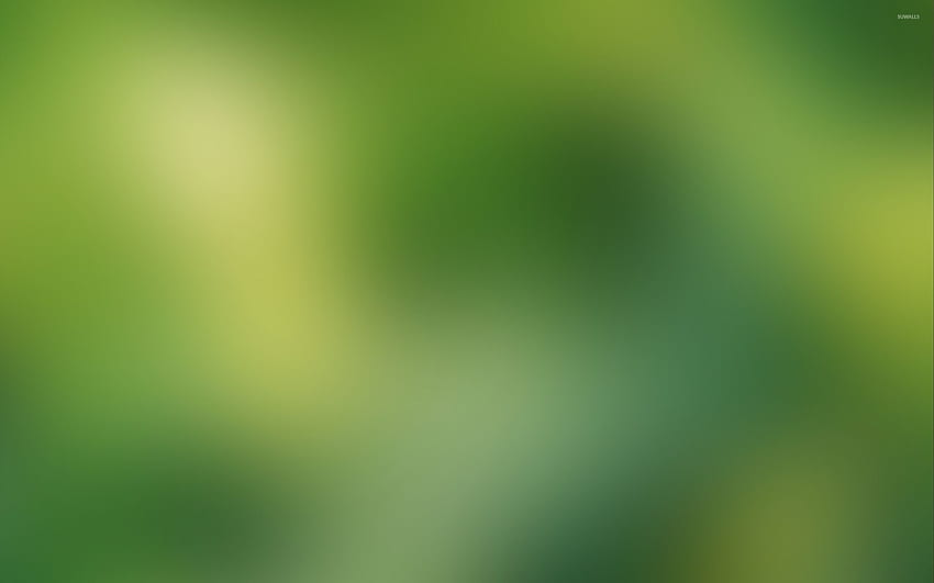 Mleczno-zielone rozmyte tło, rozmyta natura Tapeta HD
