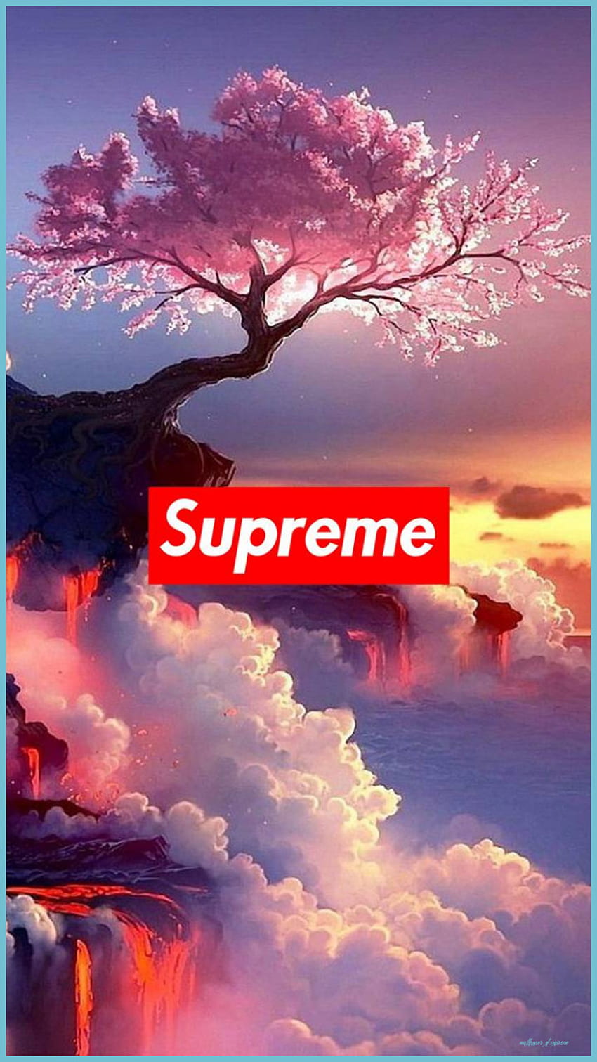 cool supreme Wallpaper - NawPic