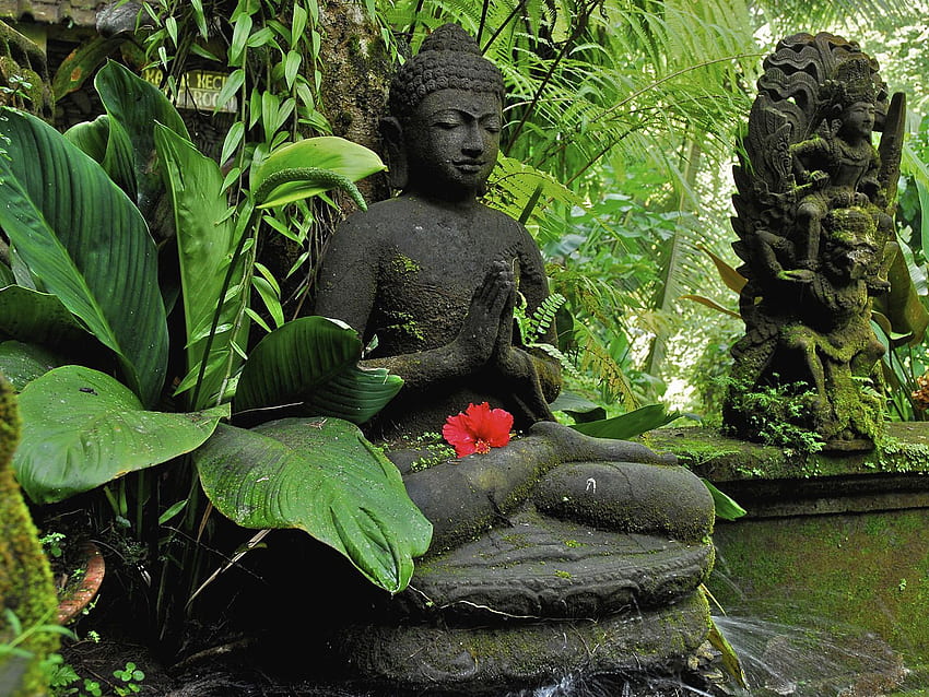 21) Tumblr. Zen meditation, Buddhism , Buddhism, Buddha Garden HD wallpaper