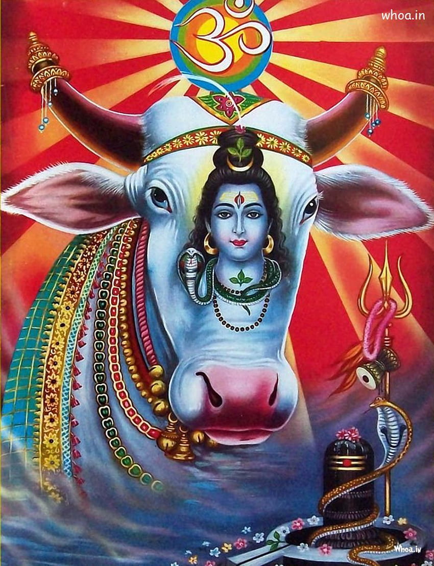God Shiva - & Background, God Siva HD phone wallpaper | Pxfuel