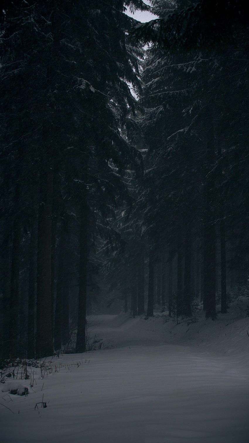 พื้นหลังที่สวยงามมืดสำหรับ iPhone ที่คุณจะหลงรัก Glory of the Snow, Dark Forest Aesthetic วอลล์เปเปอร์โทรศัพท์ HD