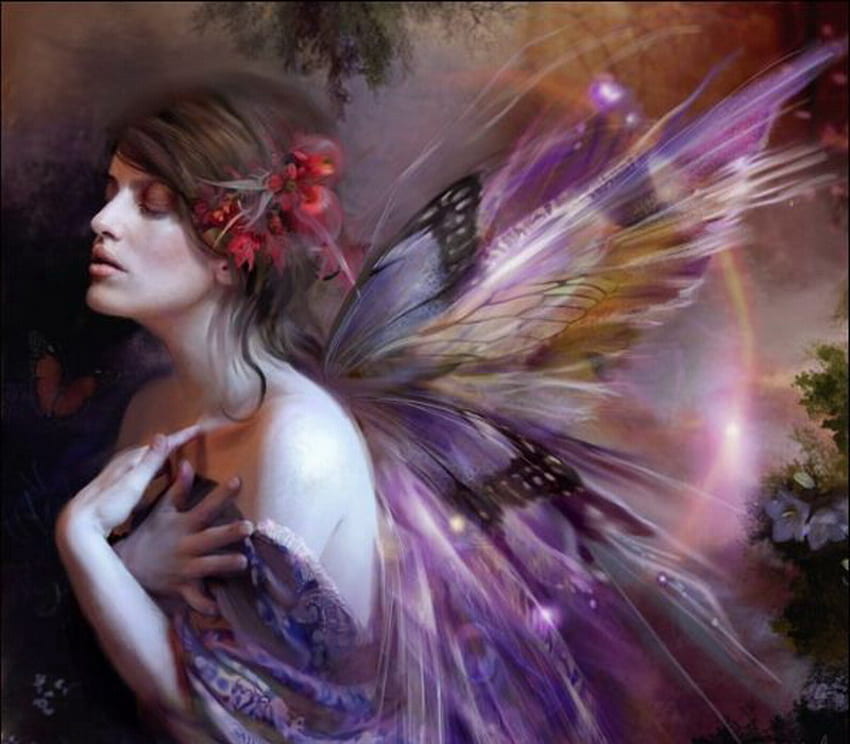 enchanted, night, fairy, purple, magic, butterfly HD wallpaper