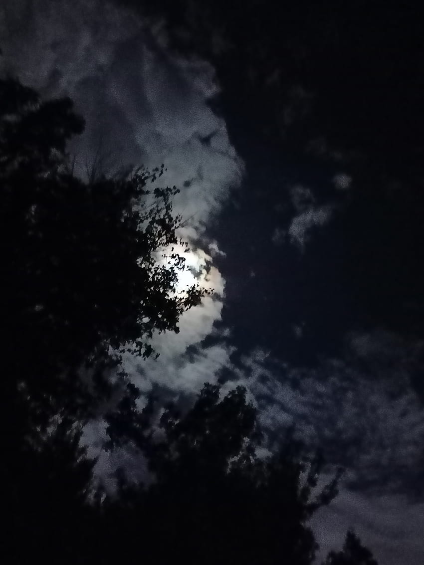 Cielo de noche, ciel, lune Fond d'écran de téléphone HD