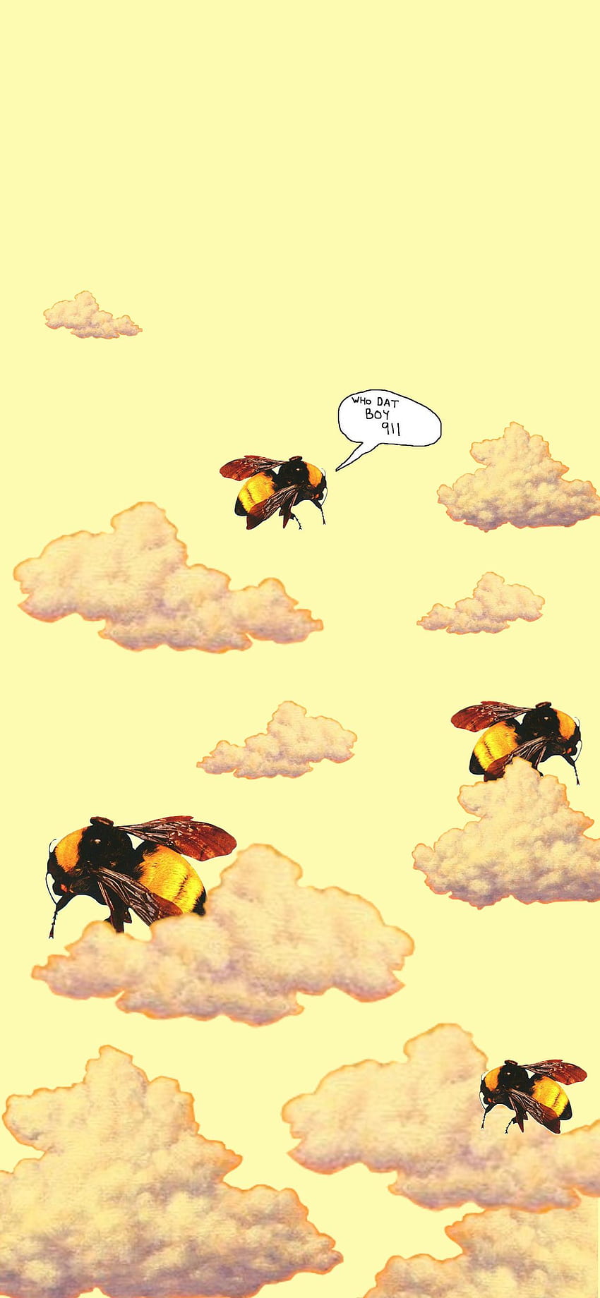 Flowerboy : tylerthecreator, Arıları Kurtar HD telefon duvar kağıdı