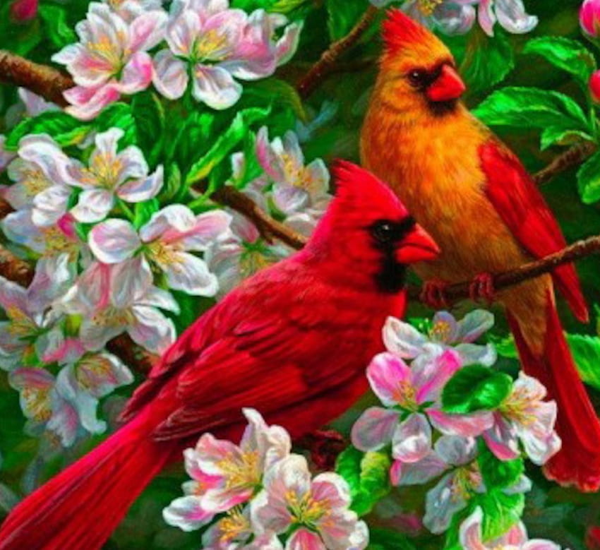 Lovely Two Birds, animal, pink, birds, yellow, red, branches, flowers HD wallpaper