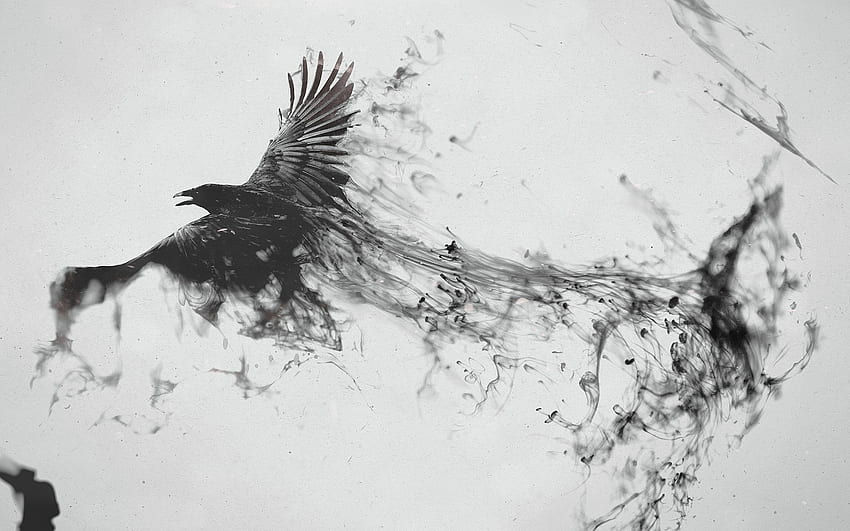 Dark Raven, Gothic Raven HD wallpaper