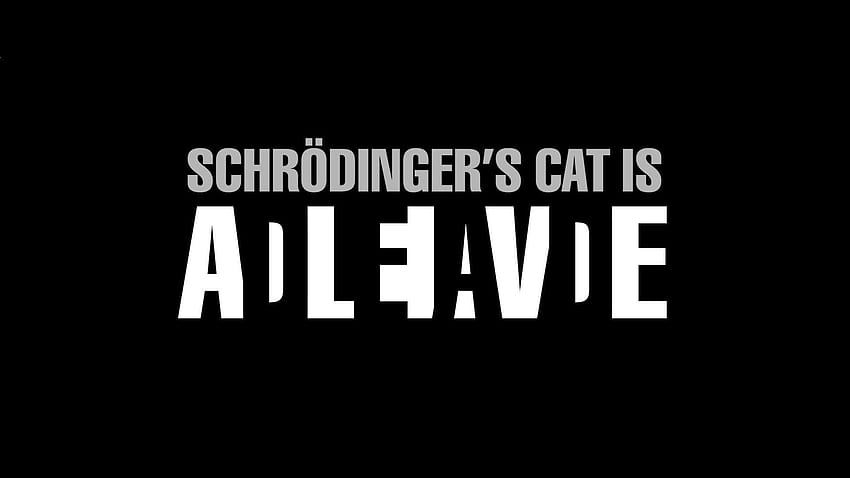 czarne tło, Prosty, Nauka, Kot Schrödingera, Kot Schrödingera Tapeta HD