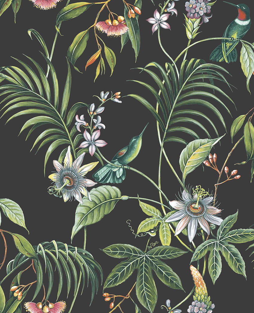 Leaf Adilla Dark Botanical, Botany HD phone wallpaper