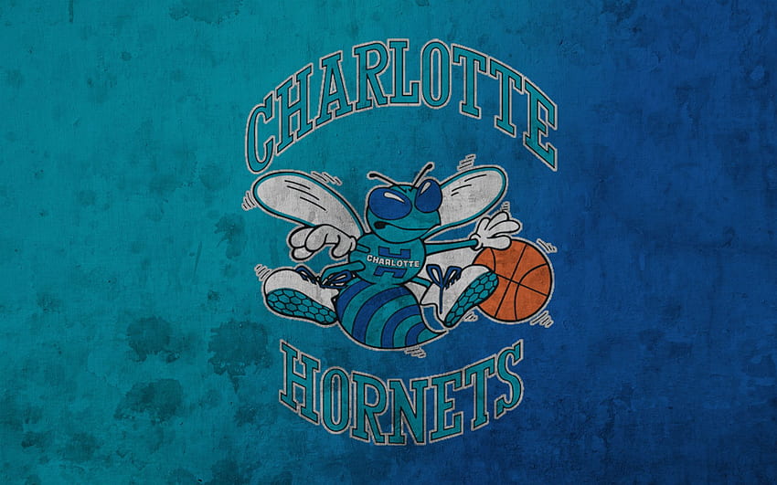 Charlotte Hornets 73 Arka Plan - Charlotte HD duvar kağıdı