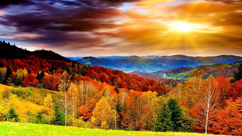 beautiful nature hd wallpaper widescreen