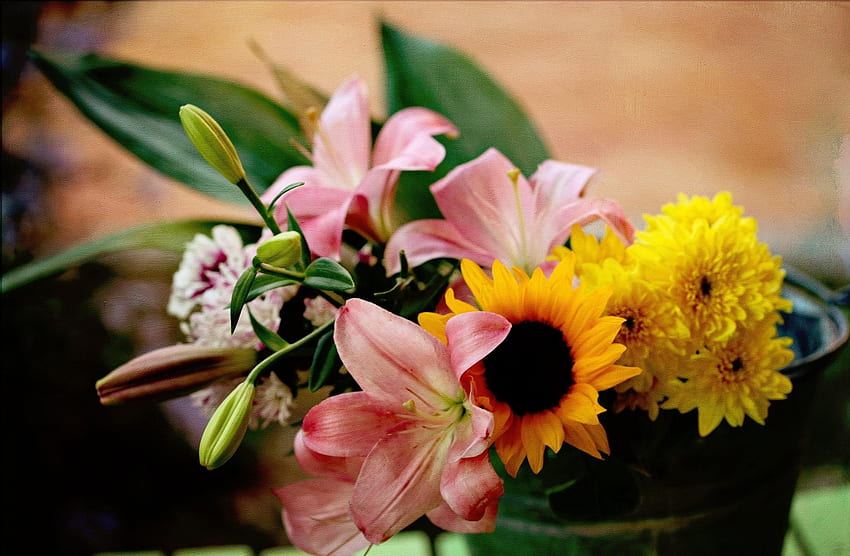 꽃, 국화, 백합, 꽃다발, 해바라기, 양동이 HD 월페이퍼