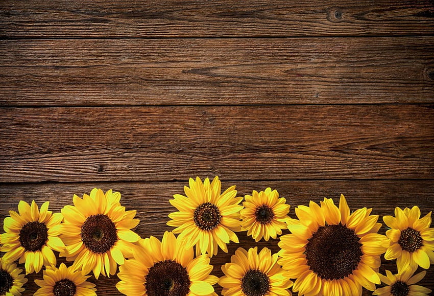 Sunflower Wood Texture Backdrops for graphy Rustic Child - Etsy. Sunflower , Sunflowers background, graphy backdrops, Yellow Wooden HD wallpaper