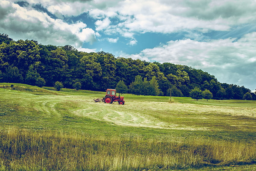 Tractor in Field, mow, Field, grass, tractor HD wallpaper