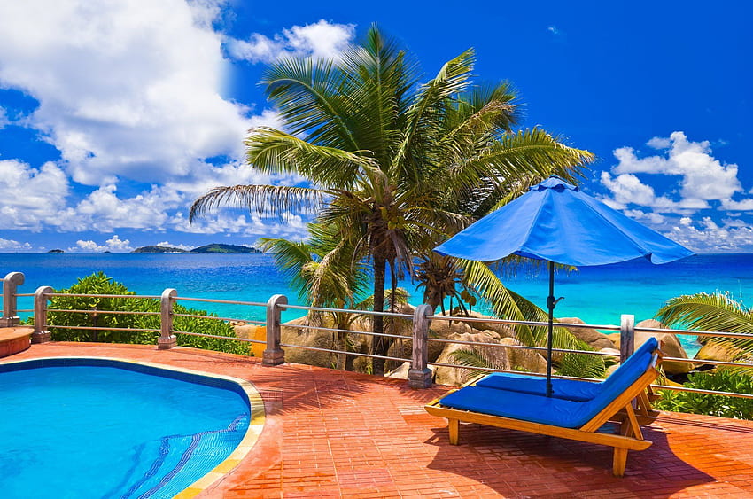 exotic nature sea ocean palm views pool relax HD wallpaper