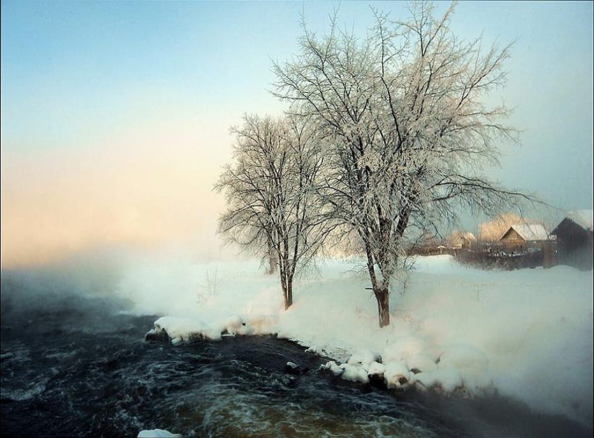 Winter hues, mist, winter, light blue sky, snow, cold, trees, waters edge, cabin HD wallpaper