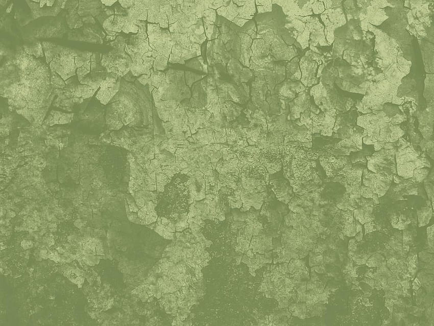 Sage Green, Sage Green Laptop HD wallpaper