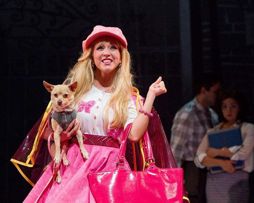 THEATER. Legally Blonde: The Musical. Choice Events. CITY News. Arts. Life HD wallpaper