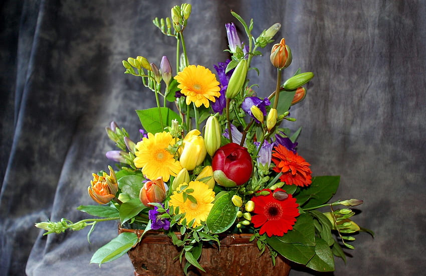 꽃, Gerberas, 등록, 타이포그래피, 녹색, 꽃다발, 구성 HD 월페이퍼
