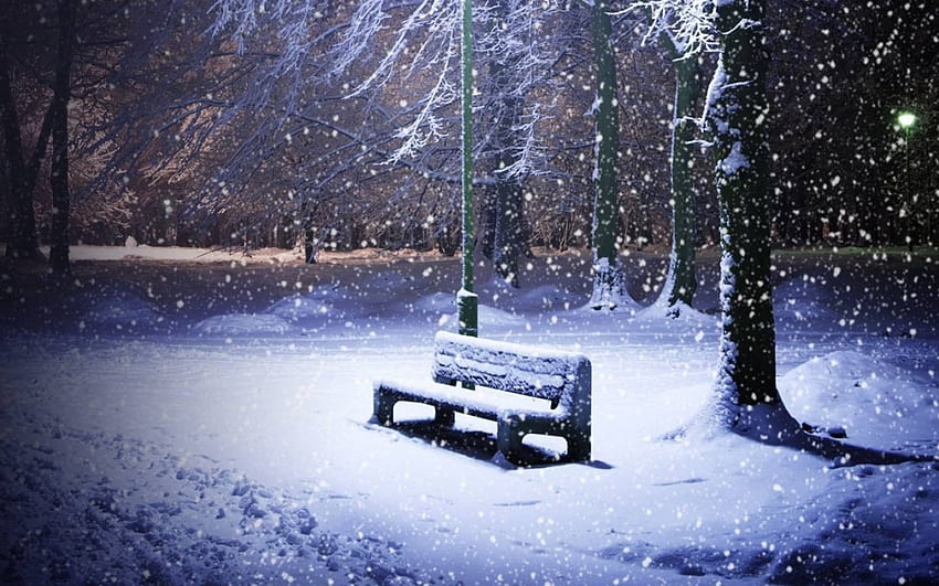 snowy park, winter, bench, snow, park, tree HD wallpaper