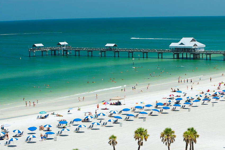 Pictures Clearwater Florida Background Images, HD Pictures and Wallpaper  For Free Download | Pngtree
