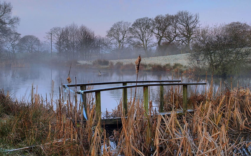 Nature, Bridge, Morning, Haze, Pond HD wallpaper