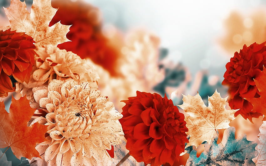 Flores De Otoño, Flores Silvestres De Otoño fondo de pantalla