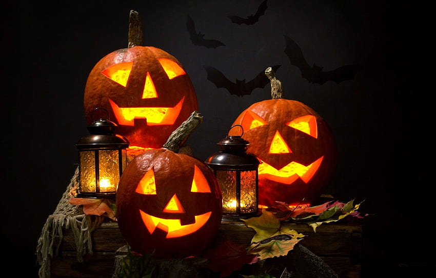 Halloween pumpkin jacks lantern attribute physiognomy, Halloween Candle HD wallpaper