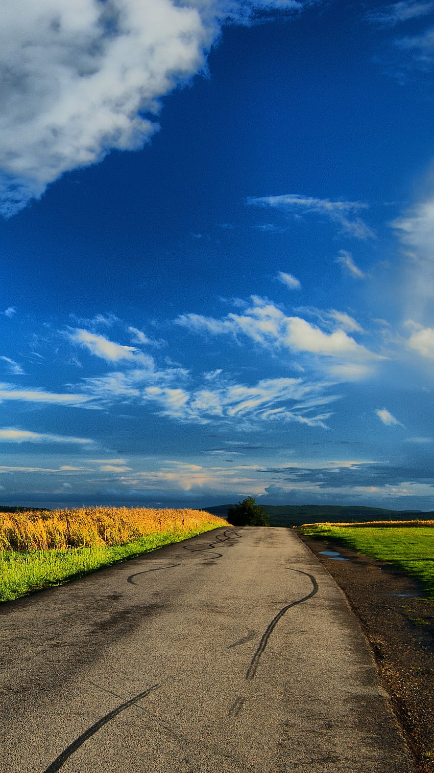 Hermoso camino y cielo azul, cielo azul, hermoso camino, naturaleza fondo de pantalla del teléfono