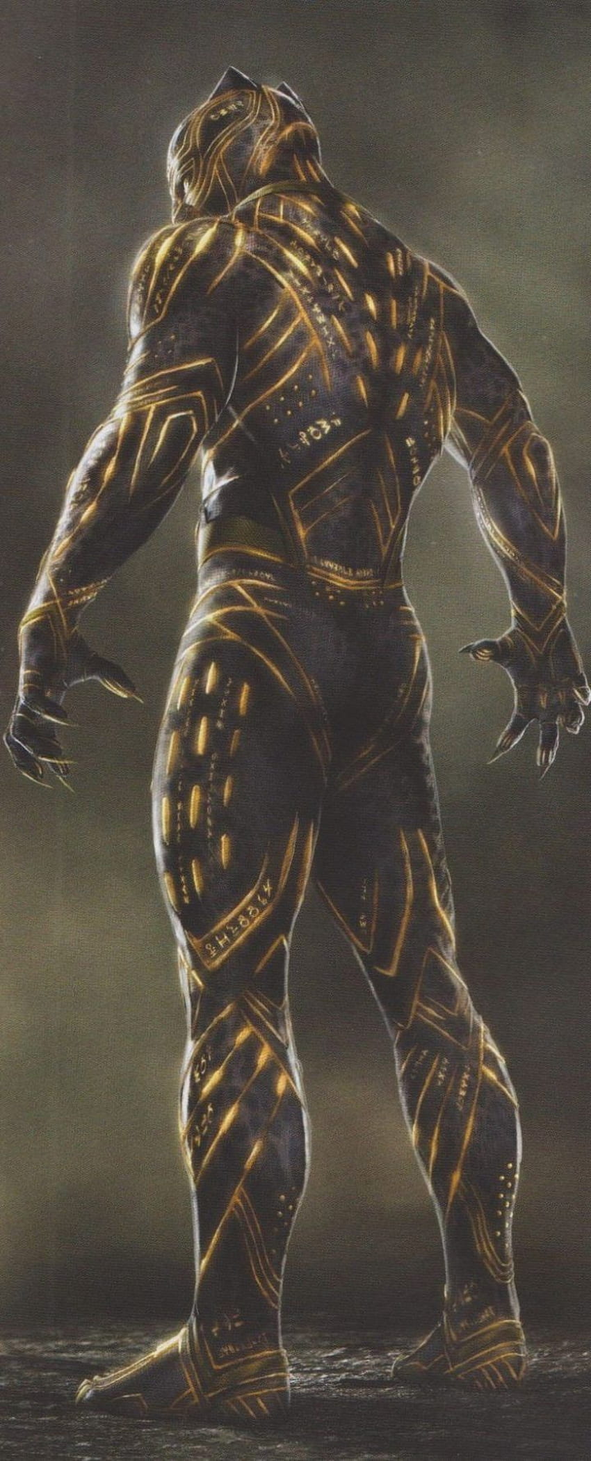 BLACK PANTHER: The new concept of jaw art reveals alternative designs for the Panther suit, Killmonger Suit HD phone wallpaper