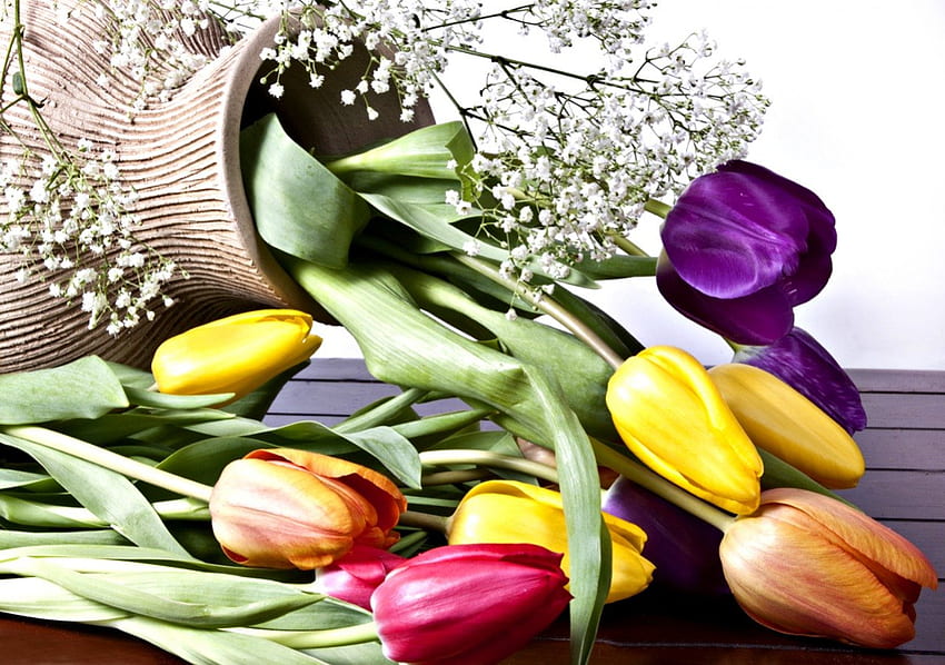 Tulips, still life, tulip, vase, nature, flowers HD wallpaper