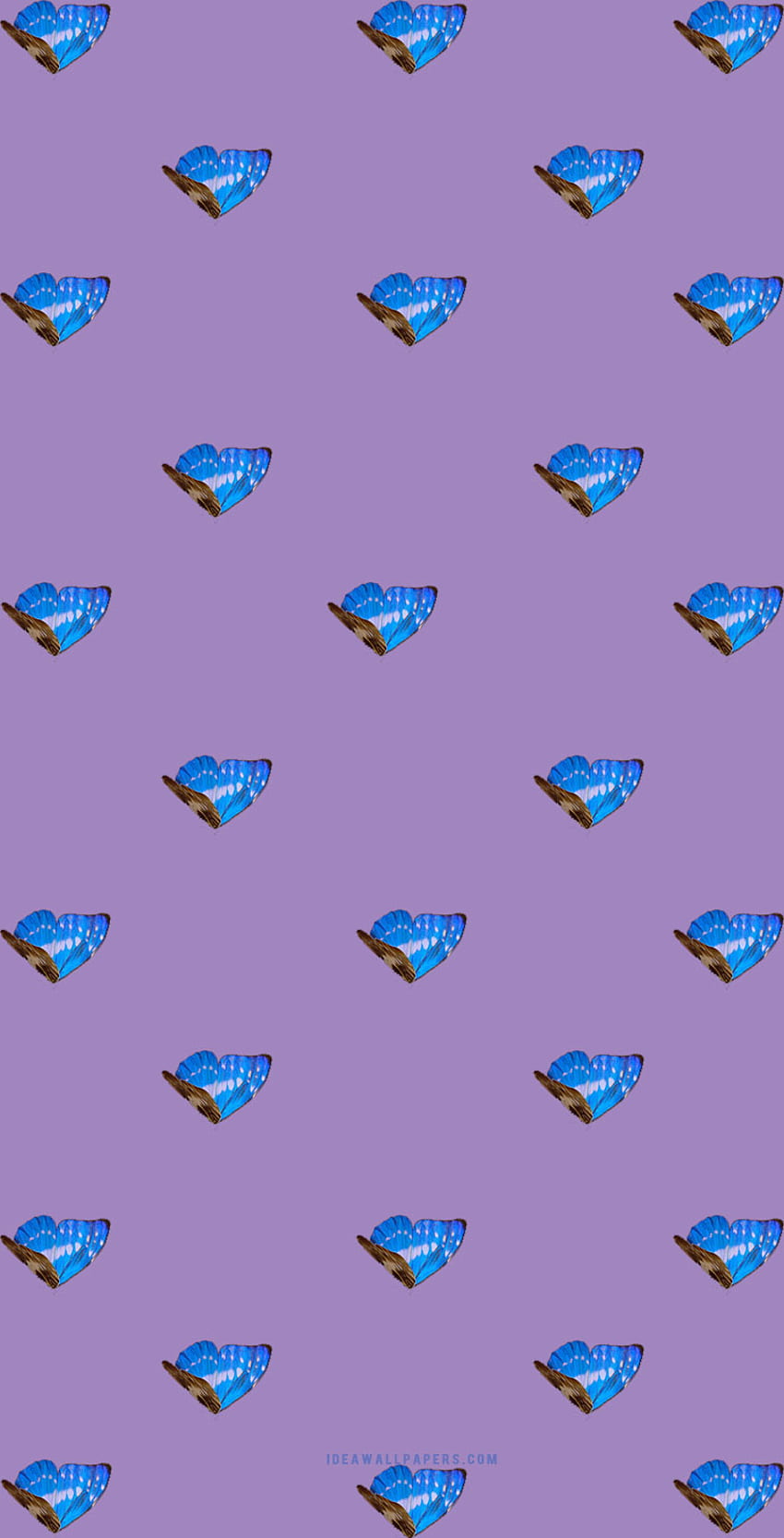 Blue butterflies on purple background - Idea , iPhone , Color Schemes, Orange Butterfly HD phone wallpaper