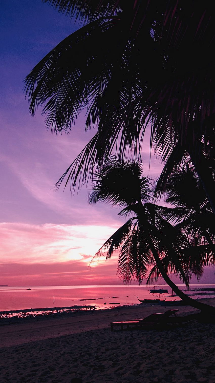 pohon palem, pantai, matahari terbenam, tropis, Pink Beach Sunset wallpaper ponsel HD