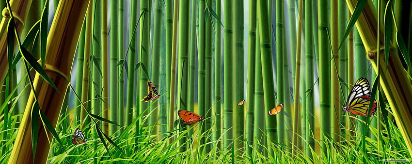 - Art - Colorful World Episode 3, Bamboo Dual Screen HD wallpaper