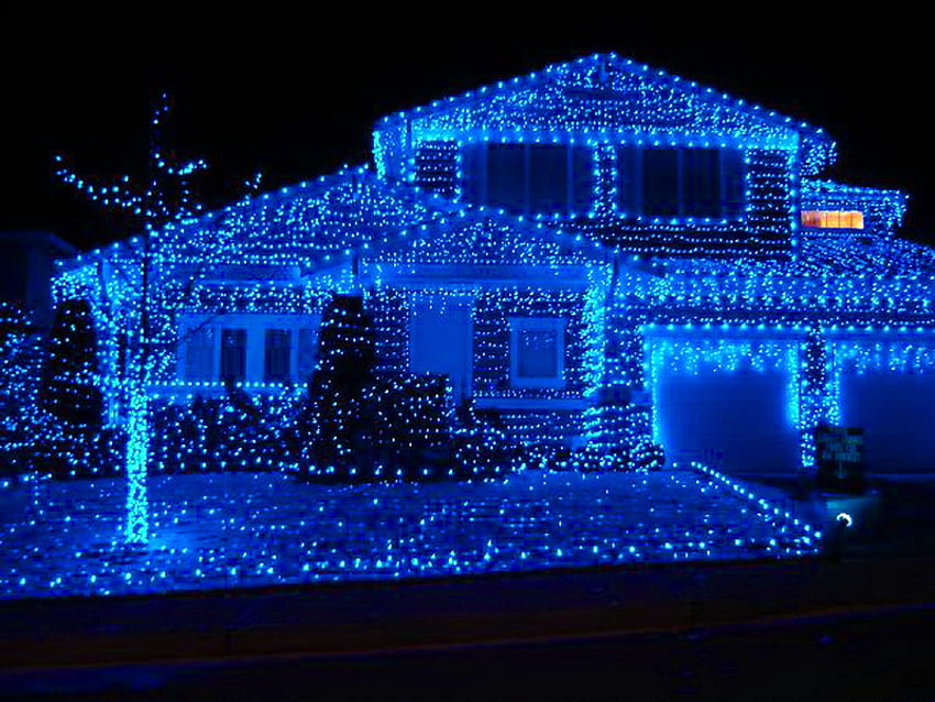 Blue for Christmas, holiday decoration, house, festive, blue lights, christmas time HD wallpaper