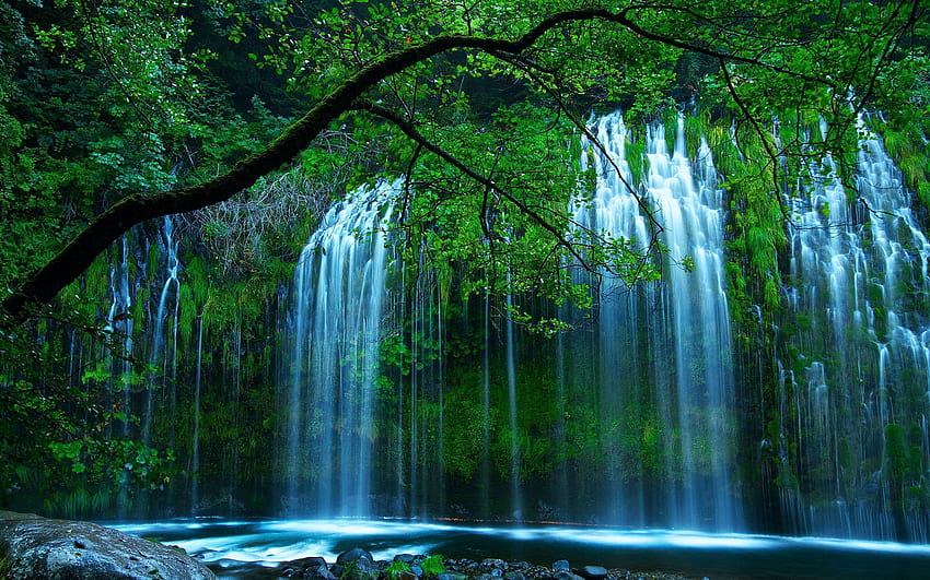 Natura, Drzewa, Wodospad, Przepływ Tapeta HD