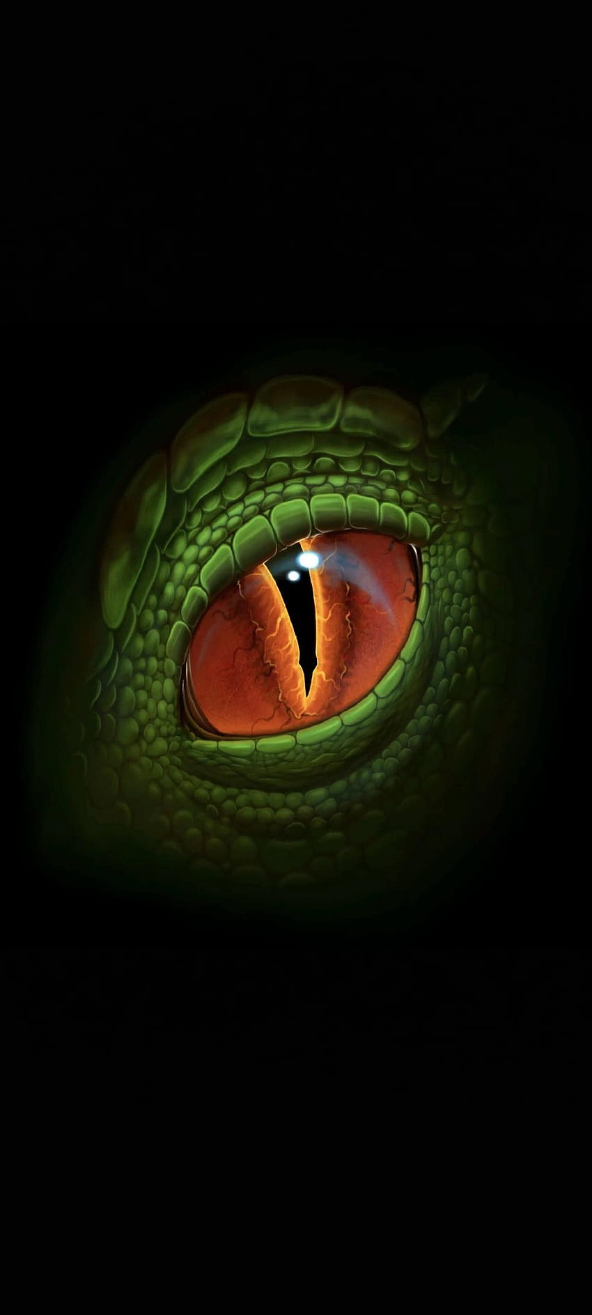 Драконово око, глава, лице, зелено, люспи, черно HD тапет за телефон