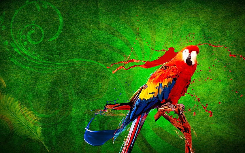 Birds, Digital, Art, Paintings, Parrots, , , Artwork For Windows, Abstract, Drawing, Painting, Art Is Everywhere, Artist, Creation HD wallpaper