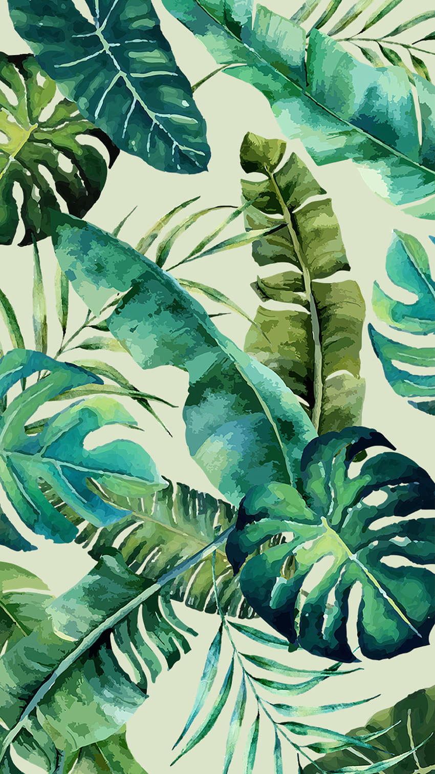 Monstera iPhone Wallpapers  Top Free Monstera iPhone Backgrounds   WallpaperAccess