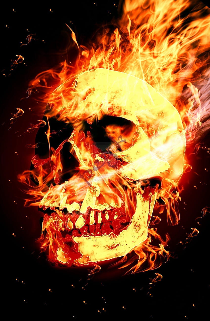 Awesome Fire Skull Ideas - Left of The Hudson, Orange Skull HD phone wallpaper