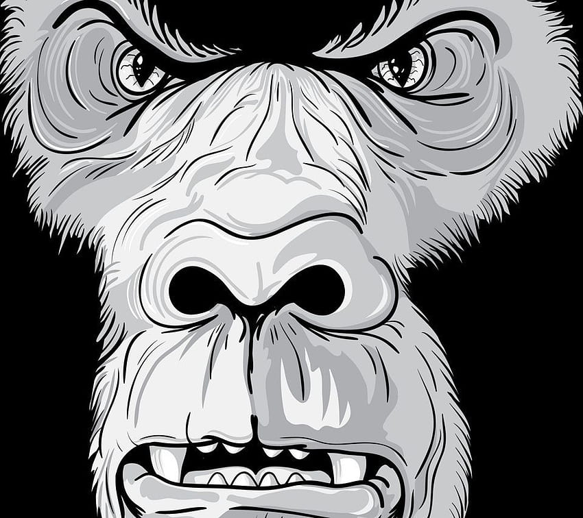 Angry Gorilla . Seni, Tato, Cartoon Gorilla HD wallpaper
