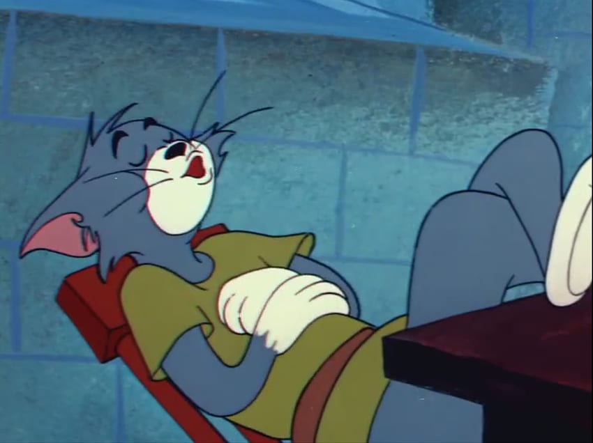 Sleeping: Tom and Jerry Cartoon . Tom and Jerry Sleeping, Tom and Jerry Memes HD wallpaper