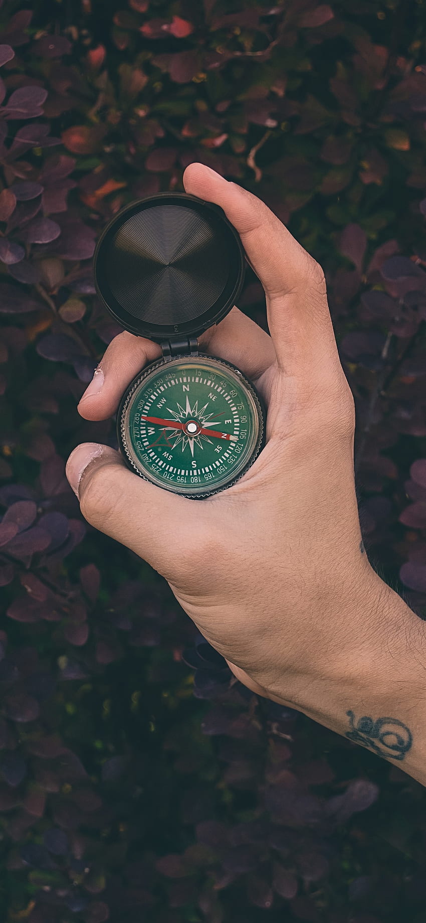 Compass, Hand, Plants IPhone 11 Pro XS Max , Background HD phone wallpaper