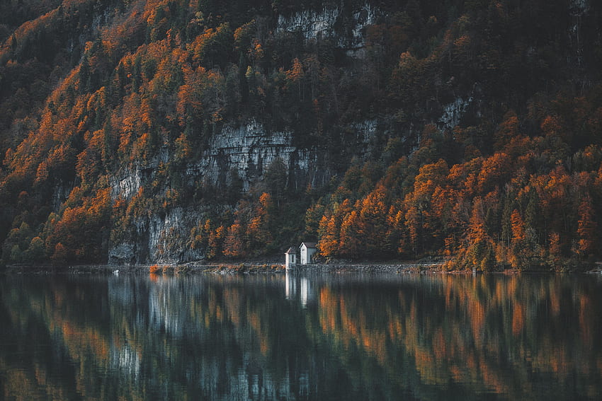naturaleza, árboles, montaña, lago, orilla, banco fondo de pantalla
