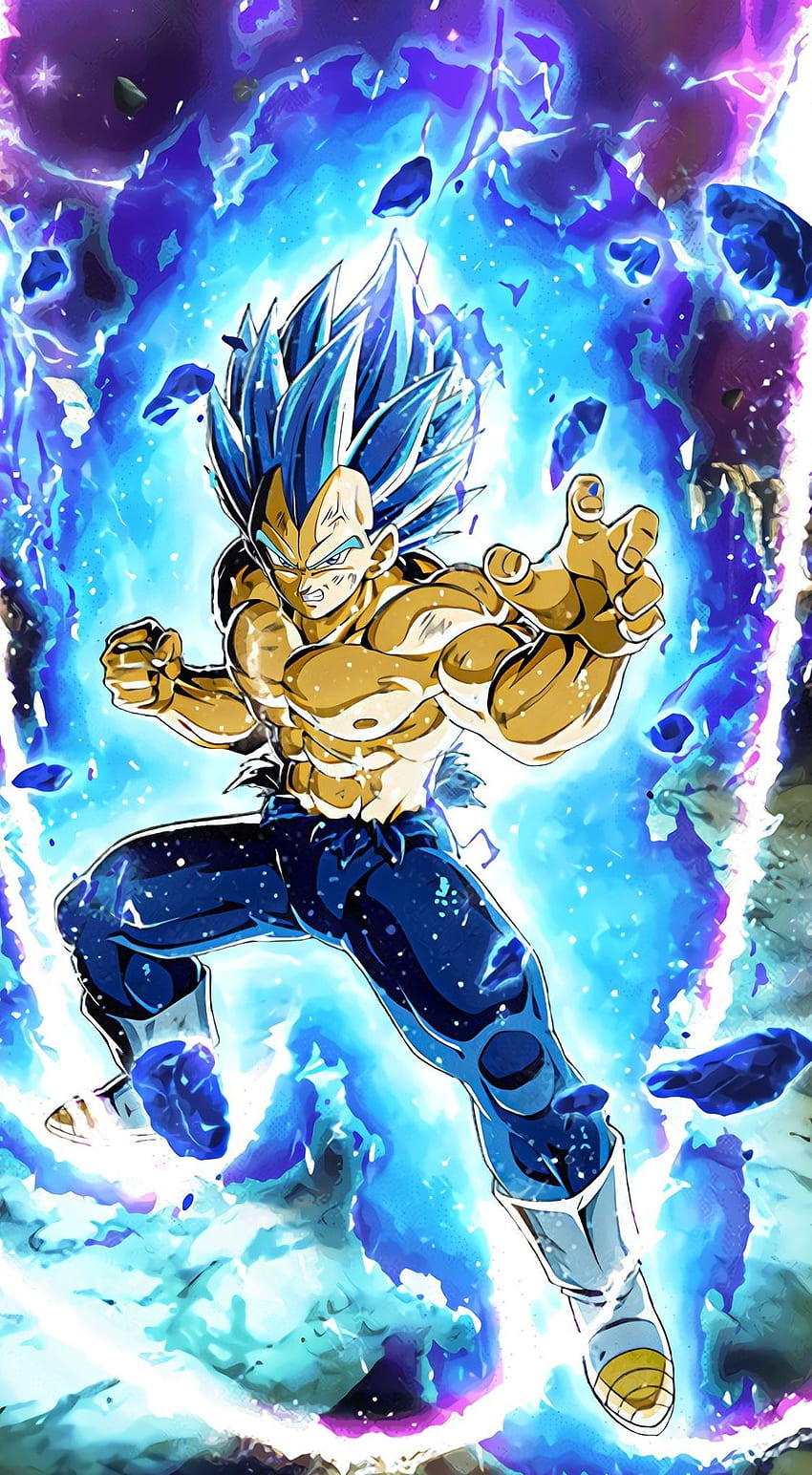 Lr Evolution Blue Vegeta (Without Armor)True ! in 2021, Gogito HD phone wallpaper