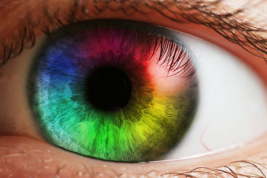 Colorful Eye . HD wallpaper | Pxfuel