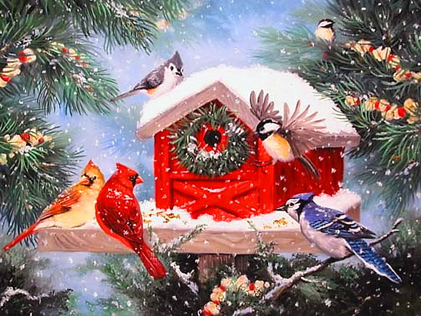 Feathered friends, winter, bird feeder, birds, tree, chickadees, jays, branches, trees, cardinals HD wallpaper